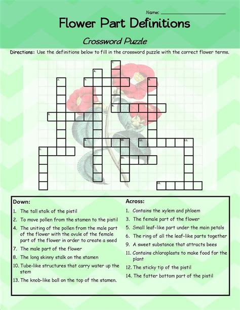 future flowers crossword answer.